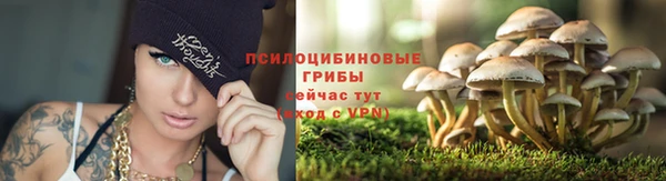 ГАЛЛЮЦИНОГЕННЫЕ ГРИБЫ Балабаново