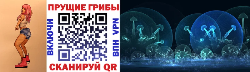 Псилоцибиновые грибы мицелий  Кемерово 