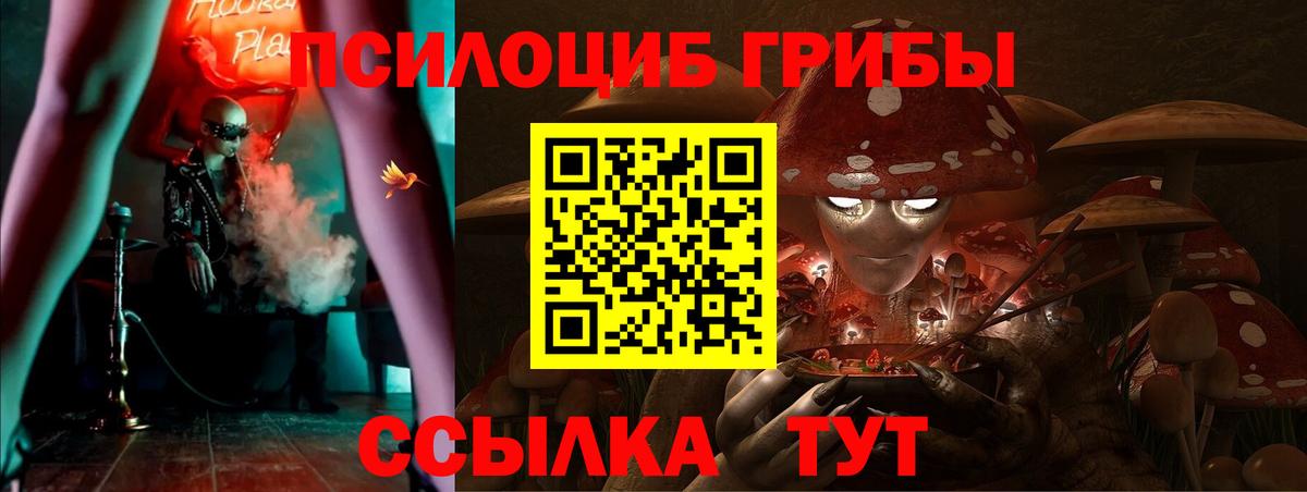 Кемерово  Галлюциногенные грибы Psilocybe  Вход с VPN 